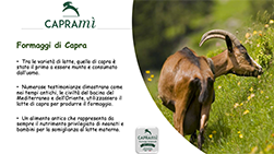 caprami formaggi